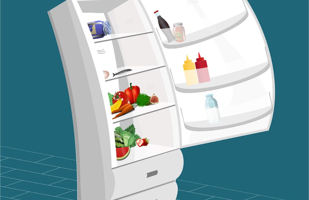 Foodsharing-Kühlschrank? So geht’s!